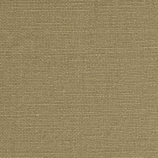 SCHUMACHER  PERFECT BASICS: UNION LANGHAM HIGH PERFORMANCE UNION PLAINS,HIGH PERFORMANCE PLAINS,HIGH PERFORMANCE BARLEY   - 69618