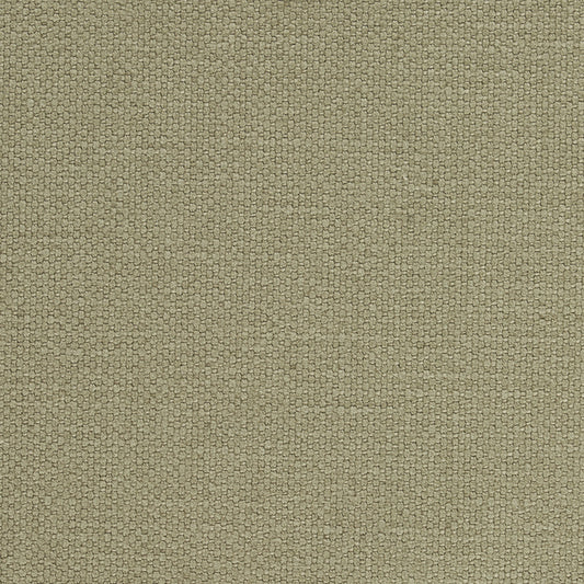 SCHUMACHER  PERFECT BASICS: UNION LANGHAM HIGH PERFORMANCE UNION PLAINS,HIGH PERFORMANCE PLAINS,HIGH PERFORMANCE THYME   - 69619