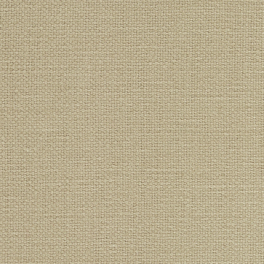 SCHUMACHER  PERFECT BASICS: UNION LANGHAM HIGH PERFORMANCE UNION PLAINS,HIGH PERFORMANCE PLAINS,HIGH PERFORMANCE SESAME   - 69620