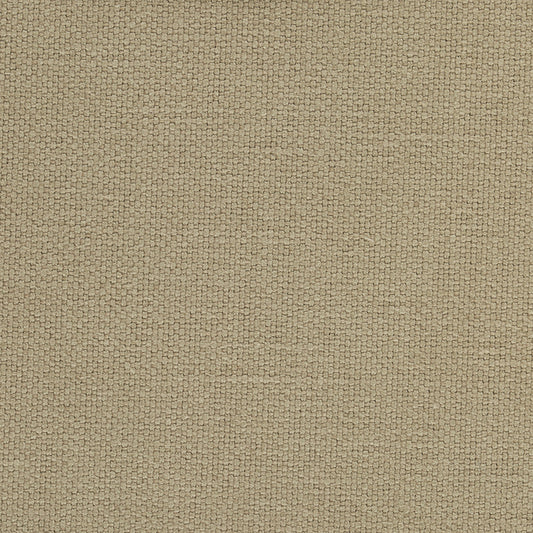 SCHUMACHER  PERFECT BASICS: UNION LANGHAM HIGH PERFORMANCE UNION PLAINS,HIGH PERFORMANCE PLAINS,HIGH PERFORMANCE HICKORY   - 69622