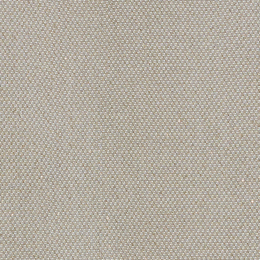 SCHUMACHER  ESSENTIALS: SHEERS & CASEMENTS GIORGIO SHEER SHEERS & CASEMENTS SHEERS & CASEMENTS PLATINUM   - 69680