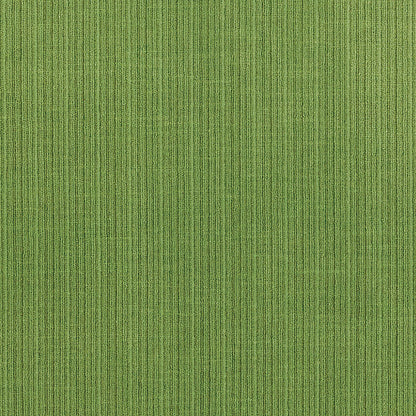 SCHUMACHER  PERFECT BASICS: VELVET ANTIQUE STRIE VELVET VELVETS,HIGH PERFORMANCE VELVETS,HIGH PERFORMANCE VERDANT   - 69751