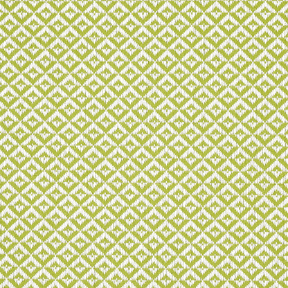 SCHUMACHER  ESSENTIALS: SMALL SCALE UPHOLSTERY FABRICS JAMISON PLAINS,INDOOR/OUTDOOR,HIGH PERFORMANCE PLAINS,INDOOR/OUTDOOR,HIGH PERFORMANCE LEAF   - 69841
