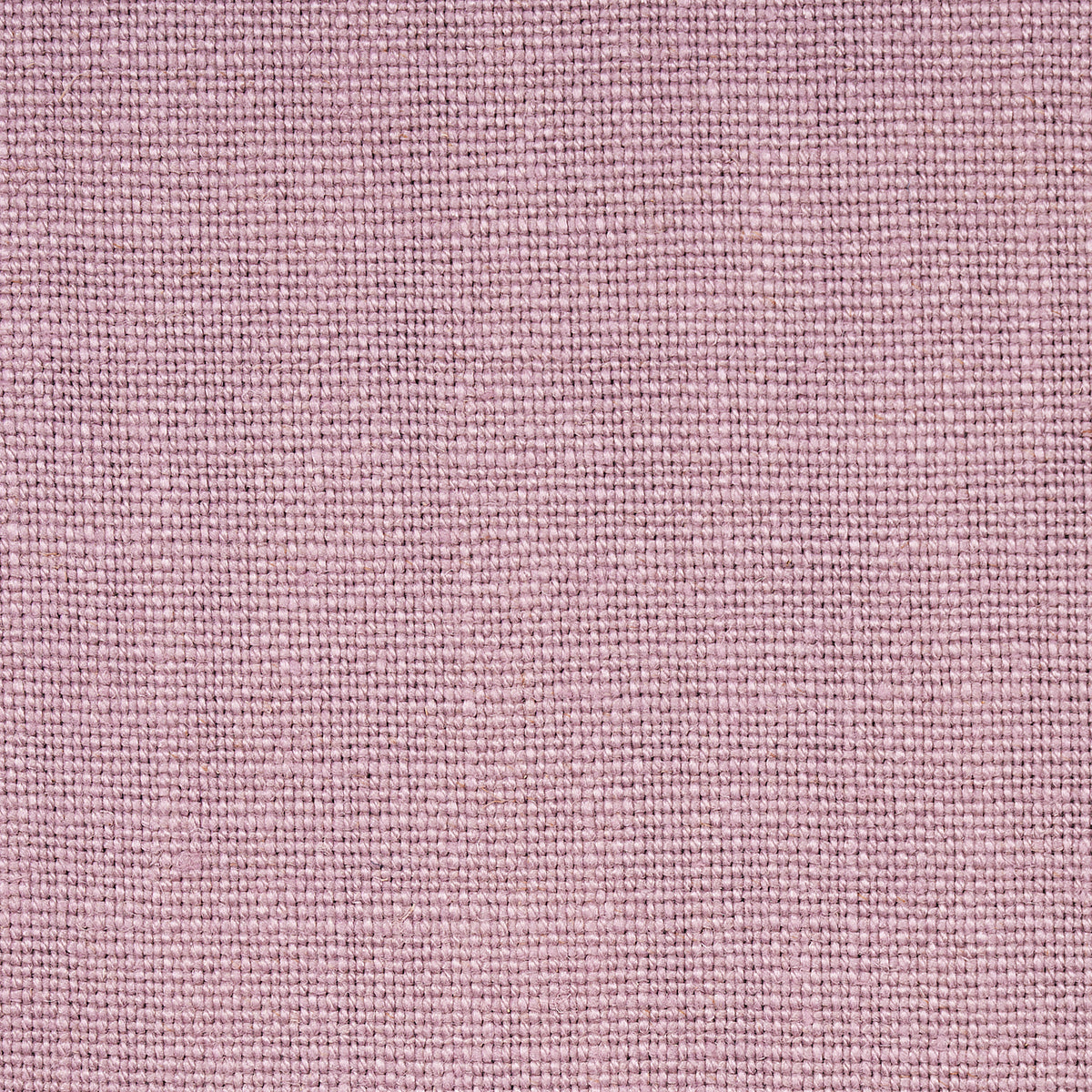 SCHUMACHER  PERFECT BASICS: LINEN PIET PERFORMANCE LINEN PLAINS,HIGH PERFORMANCE PLAINS,HIGH PERFORMANCE WISTERIA   - 69937