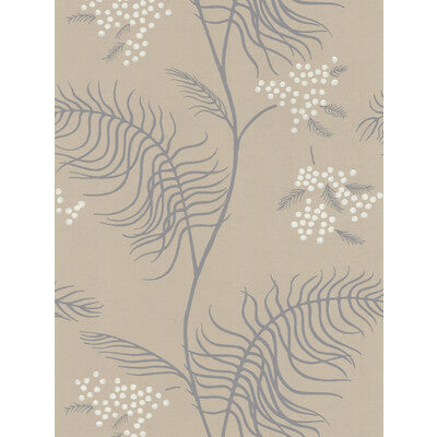 COLE & SON MIMOSA PRINT--BOTANICAL & FLORAL- SANDSTONE   - 69/8131.CS.0