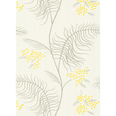 COLE & SON MIMOSA PRINT--BOTANICAL & FLORAL- BLACK AND GRAPHITE   - 69/8132.CS.0