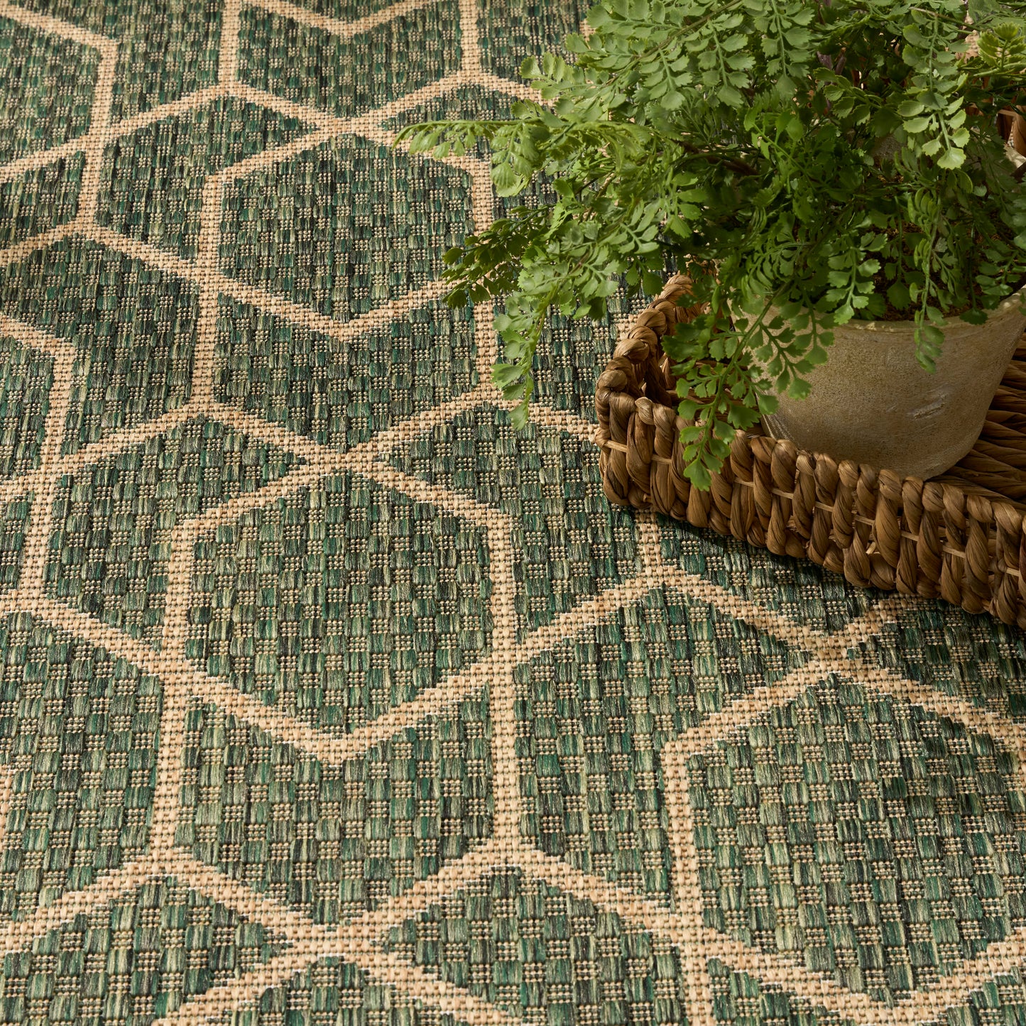 Green geometric rug with beige lattice diamonds; potted fern on a woven wicker tray.