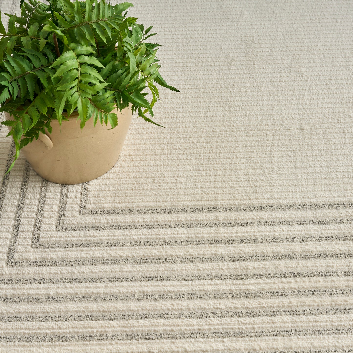 Beige ceramic pot with a lush green fern on a light beige rug with stitched rectangular border.