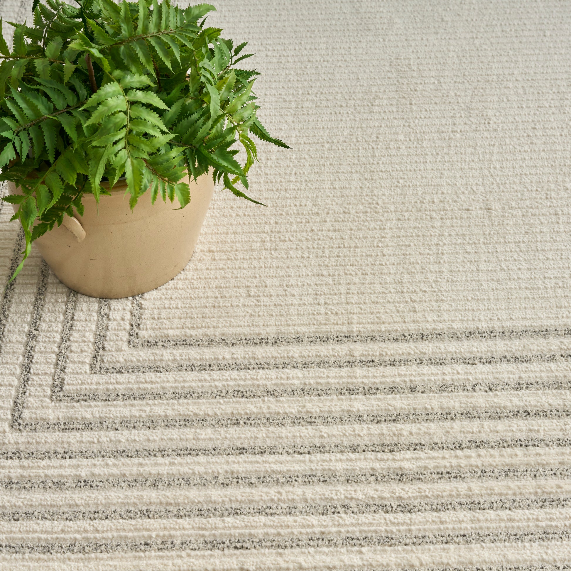 Beige ceramic pot with a lush green fern on a light beige rug with stitched rectangular border.
