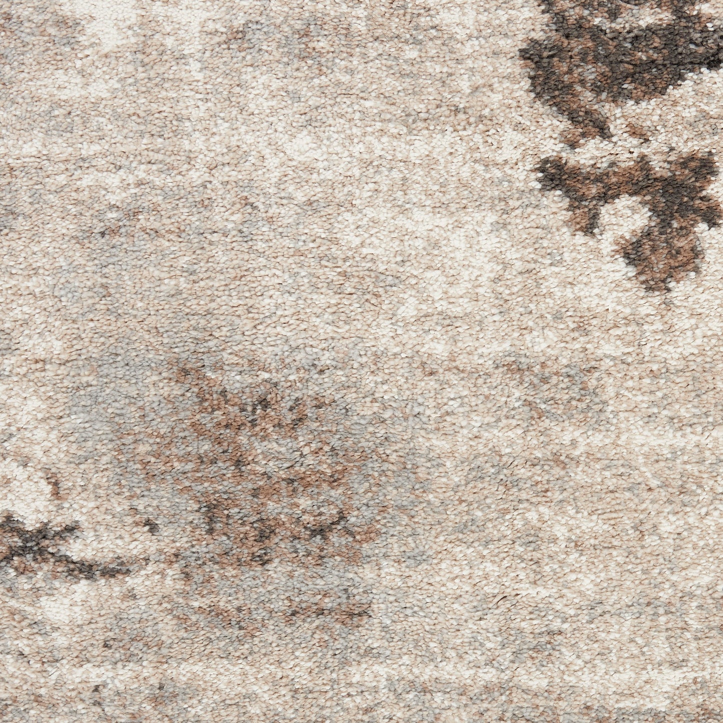 Beige distressed area rug with subtle brown floral motifs and soft, textured surface.