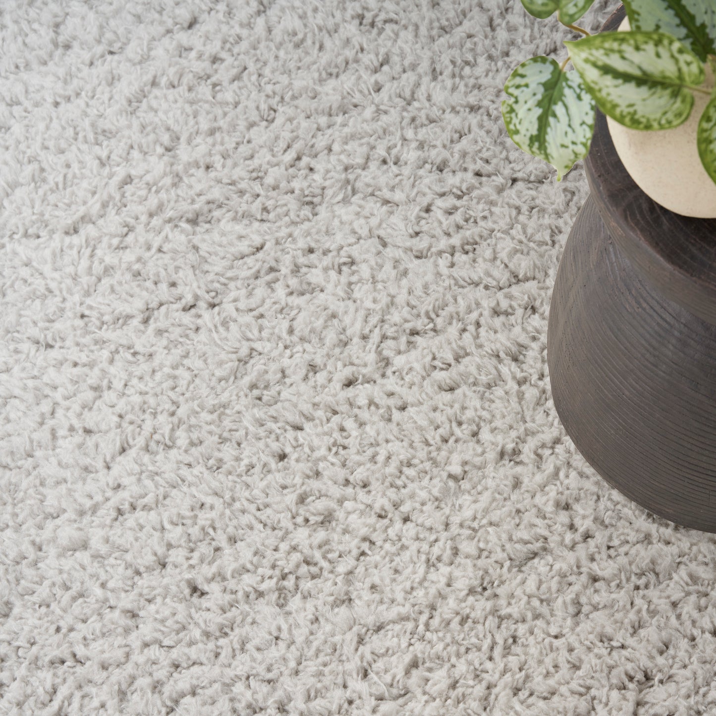 Cream shag rug with a round dark brown wooden planter and a variegated green leafy plant on the right.