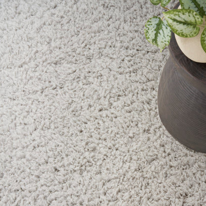 Cream shag rug with a round dark brown wooden planter and a variegated green leafy plant on the right.
