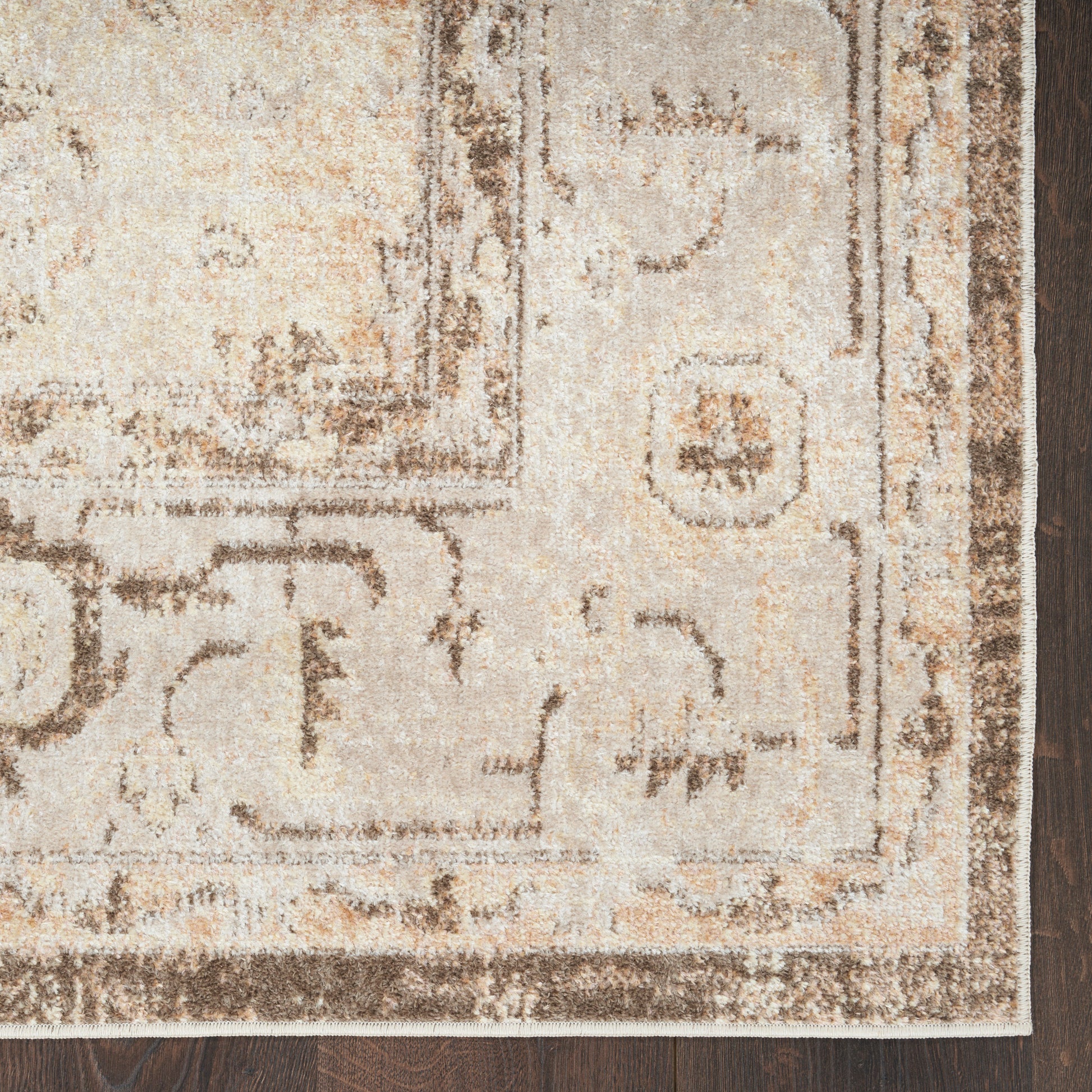 Beige oriental area rug with brown border and distressed motif on dark wood floor.
