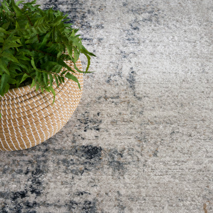 Beige woven straw basket with a lush green fern-like plant on a light textured rug.