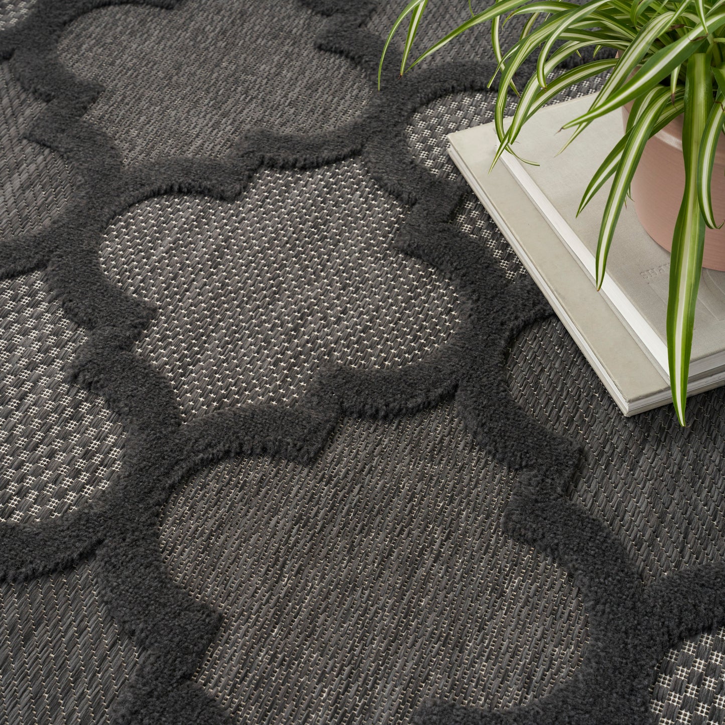 Dark gray geometric rug with large quatrefoil shapes, textured weave; plant and books in corner.