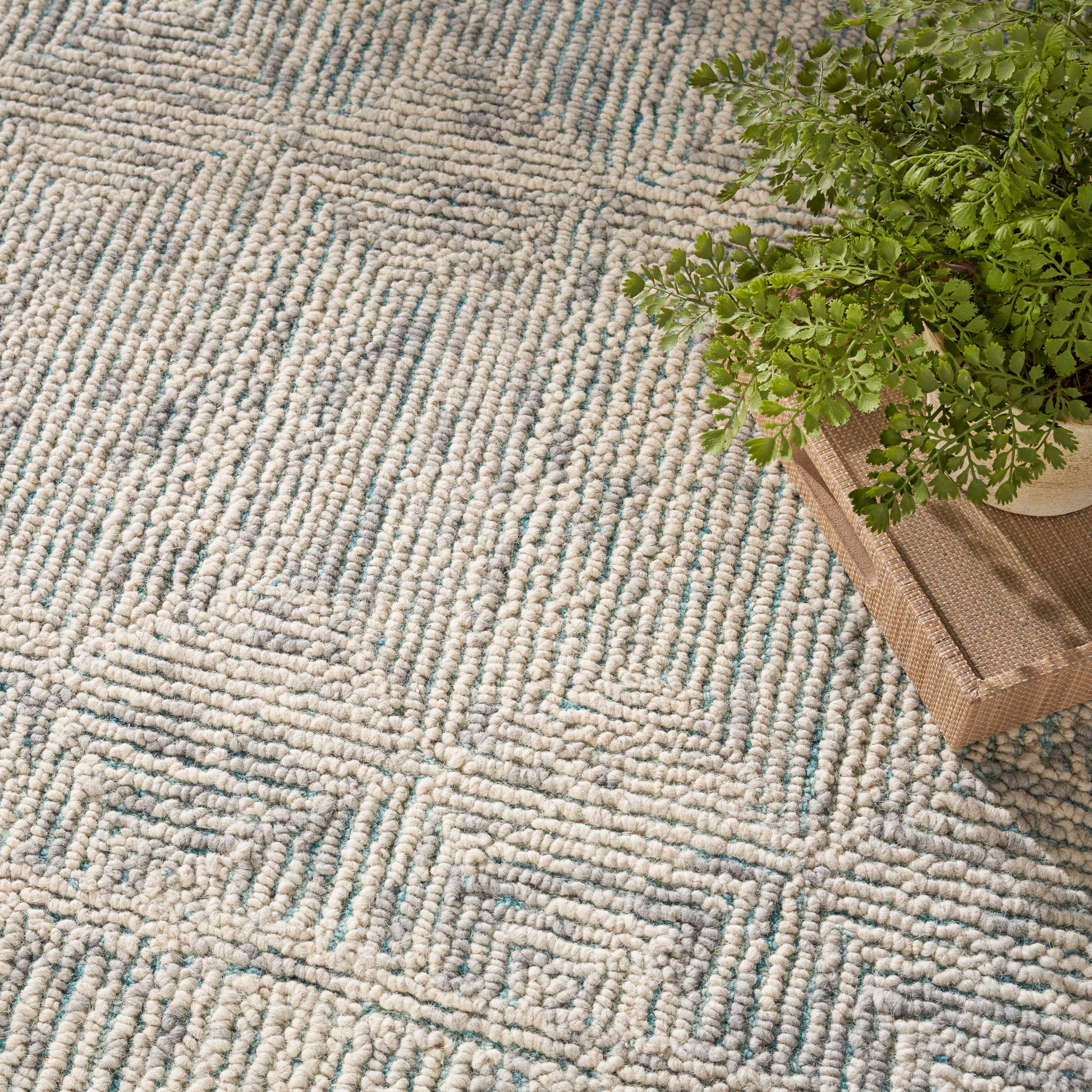 Beige textured geometric rug with light blue accents, alongside a green potted fern on stacked wooden boxes.