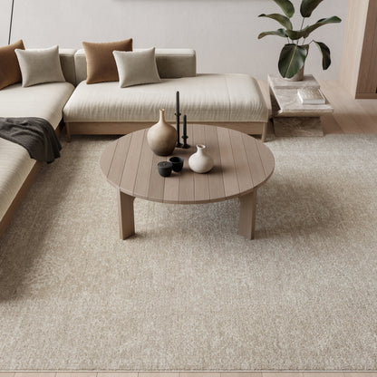 8' x 10' vintage rug in neutral tones on the floor