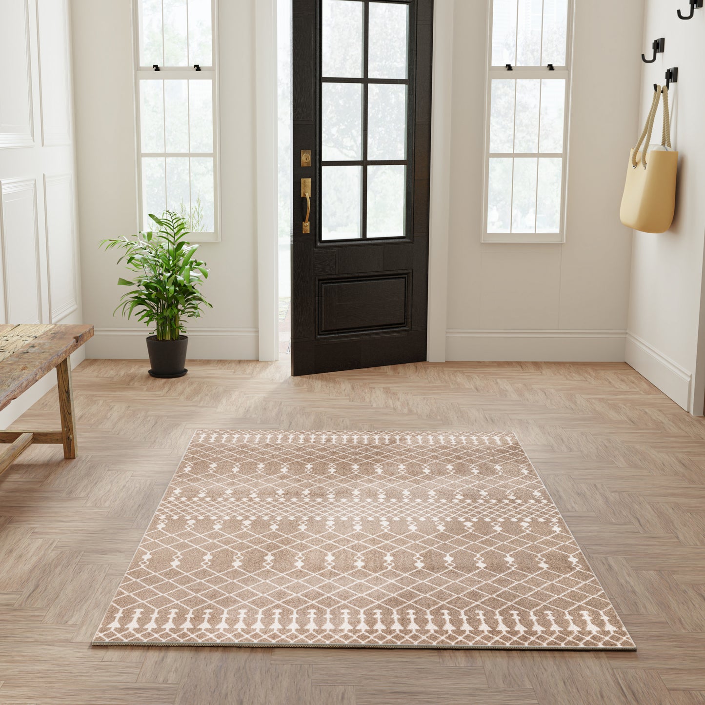 Beige and white geometric rug in a bright entryway with a black paneled door, wooden floor, plant, and wall hooks.