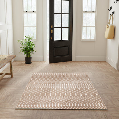 Beige and white geometric rug in a bright entryway with a black paneled door, wooden floor, plant, and wall hooks.