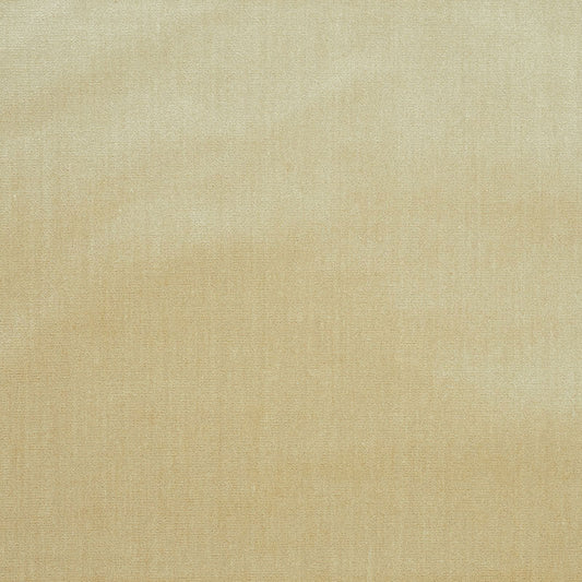 SCHUMACHER  PERFECT BASICS: VELVET VENETIAN SILK VELVET VELVETS,SILKS & SATIN VELVETS,SILKS & SATIN OYSTER   - 70422