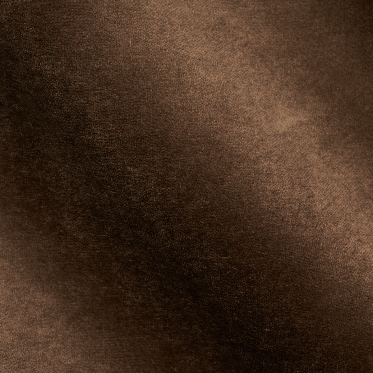 SCHUMACHER  PERFECT BASICS: VELVET ROCKY PERFORMANCE VELVET VELVETS,HIGH PERFORMANCE VELVETS,HIGH PERFORMANCE SABLE   - 70467