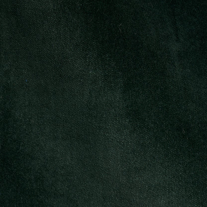 Dark green velvet fabric texture with soft pile and subtle sheen; great for upholstery or luxury apparel.
