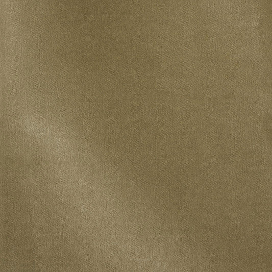 SCHUMACHER  PERFECT BASICS: VELVET ROCKY PERFORMANCE VELVET VELVETS,HIGH PERFORMANCE VELVETS,HIGH PERFORMANCE SAGE   - 70493
