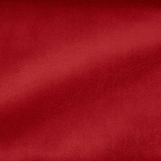 SCHUMACHER  PERFECT BASICS: VELVET ROCKY PERFORMANCE VELVET VELVETS,HIGH PERFORMANCE VELVETS,HIGH PERFORMANCE RED   - 70508