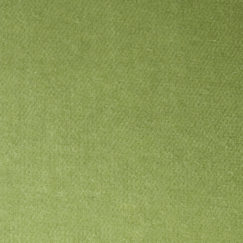 SCHUMACHER  PERFECT BASICS: VELVET ROCKY PERFORMANCE VELVET VELVETS,HIGH PERFORMANCE VELVETS,HIGH PERFORMANCE ALOE   - 70575