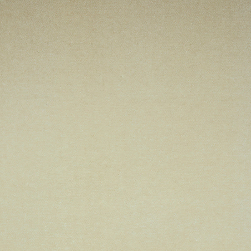 SCHUMACHER  PERFECT BASICS: VELVET ROCKY PERFORMANCE VELVET VELVETS,HIGH PERFORMANCE VELVETS,HIGH PERFORMANCE PARCHMENT   - 70578