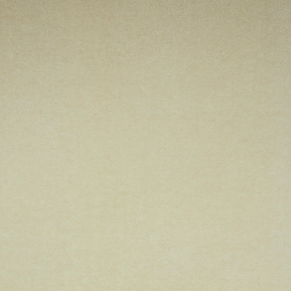 SCHUMACHER  PERFECT BASICS: VELVET ROCKY PERFORMANCE VELVET VELVETS,HIGH PERFORMANCE VELVETS,HIGH PERFORMANCE PARCHMENT   - 70578