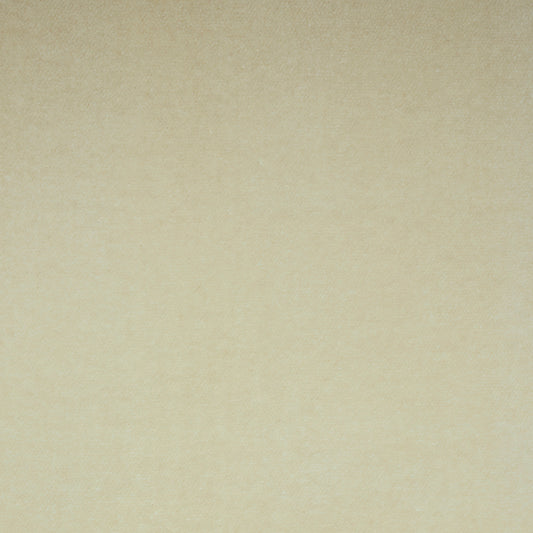 SCHUMACHER  PERFECT BASICS: VELVET ROCKY PERFORMANCE VELVET VELVETS,HIGH PERFORMANCE VELVETS,HIGH PERFORMANCE PARCHMENT   - 70578