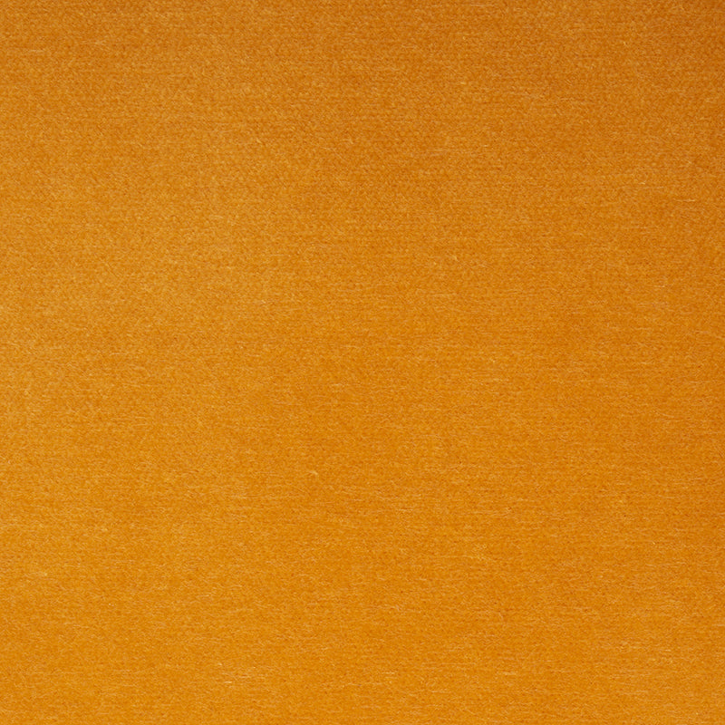 SCHUMACHER  PERFECT BASICS: VELVET ROCKY PERFORMANCE VELVET VELVETS,HIGH PERFORMANCE VELVETS,HIGH PERFORMANCE MARIGOLD   - 70579