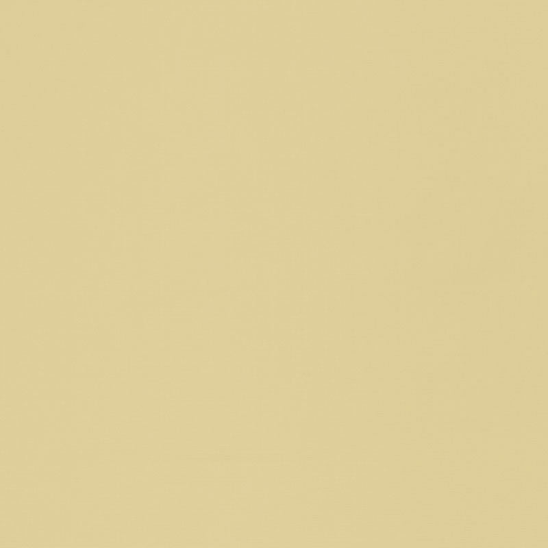 SCHUMACHER  PERFECT BASICS: INDOOR/OUTDOOR SANTA MARGHERITA PLAINS,HIGH PERFORMANCE,INDOOR/OUTDOOR PLAINS,HIGH PERFORMANCE,INDOOR/OUTDOOR SAHARA   - 70952