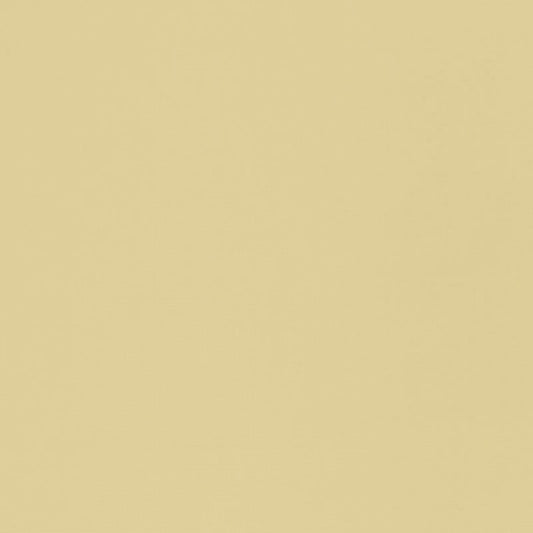 SCHUMACHER  PERFECT BASICS: INDOOR/OUTDOOR SANTA MARGHERITA PLAINS,HIGH PERFORMANCE,INDOOR/OUTDOOR PLAINS,HIGH PERFORMANCE,INDOOR/OUTDOOR SAHARA   - 70952