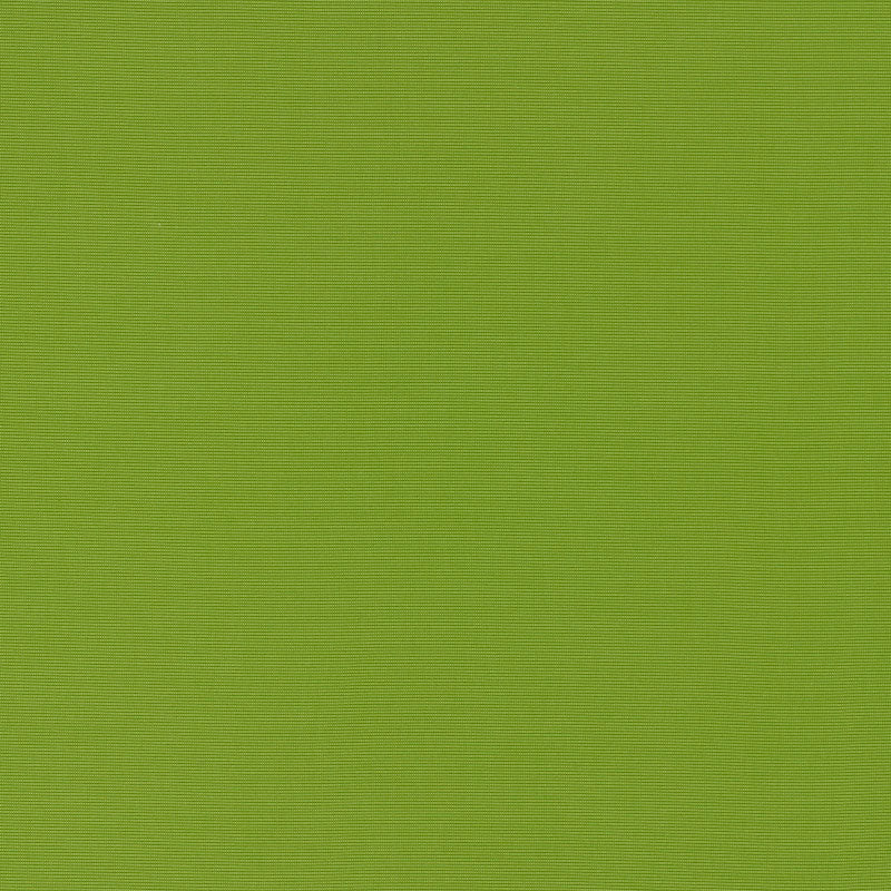 SCHUMACHER  PERFECT BASICS: INDOOR/OUTDOOR ALASSIO INDOOR/OUTDOOR   Lime   - 70992