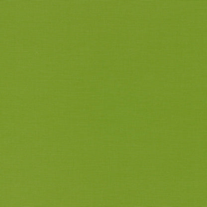SCHUMACHER  PERFECT BASICS: INDOOR/OUTDOOR ALASSIO INDOOR/OUTDOOR   Lime   - 70992