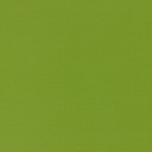 SCHUMACHER  PERFECT BASICS: INDOOR/OUTDOOR ALASSIO INDOOR/OUTDOOR   Lime   - 70992