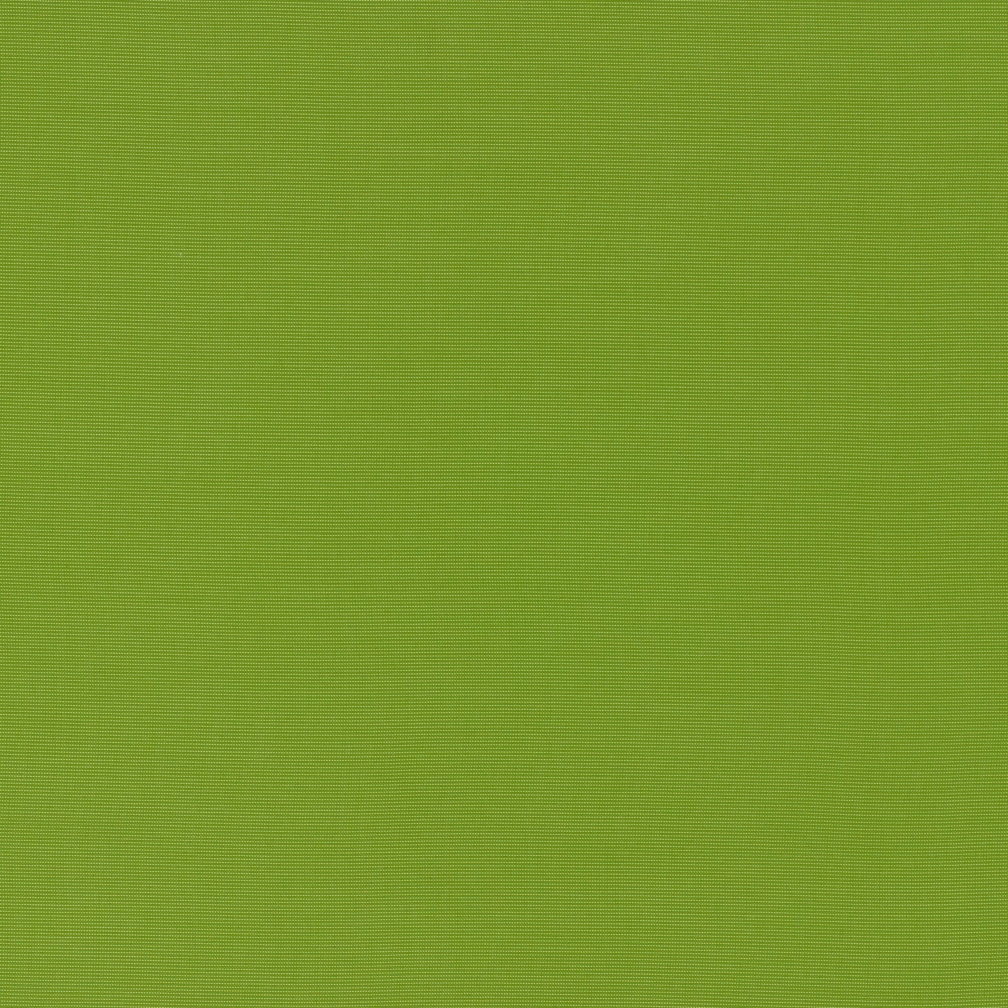 SCHUMACHER  PERFECT BASICS: INDOOR/OUTDOOR ALASSIO INDOOR/OUTDOOR   Lime   - 70992