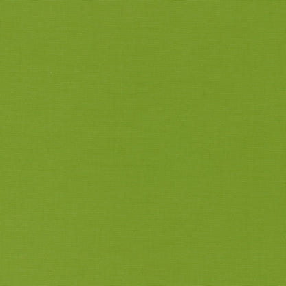 SCHUMACHER  PERFECT BASICS: INDOOR/OUTDOOR ALASSIO INDOOR/OUTDOOR   Lime   - 70992