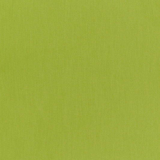 SCHUMACHER  PERFECT BASICS: INDOOR/OUTDOOR RAVELLO INDOOR/OUTDOOR INDOOR/OUTDOOR,HIGH PERFORMANCE,PLAINS INDOOR/OUTDOOR,HIGH PERFORMANCE,PLAINS SPRIG   - 71069