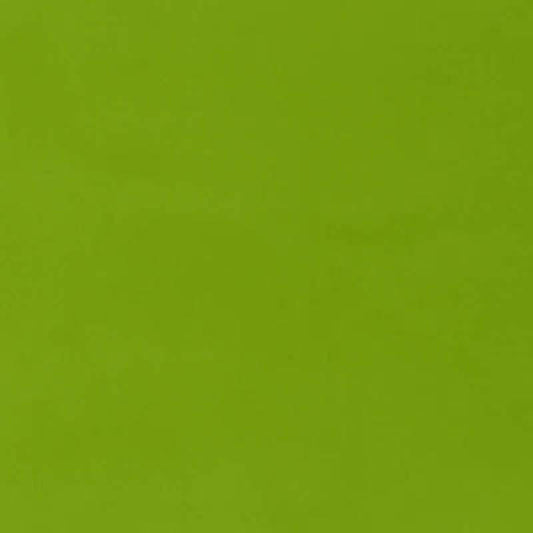 SCHUMACHER  PERFECT BASICS: INDOOR/OUTDOOR RAVELLO INDOOR/OUTDOOR PLAINS,INDOOR/OUTDOOR,HIGH PERFORMANCE PLAINS,INDOOR/OUTDOOR,HIGH PERFORMANCE LEAF   - 71070