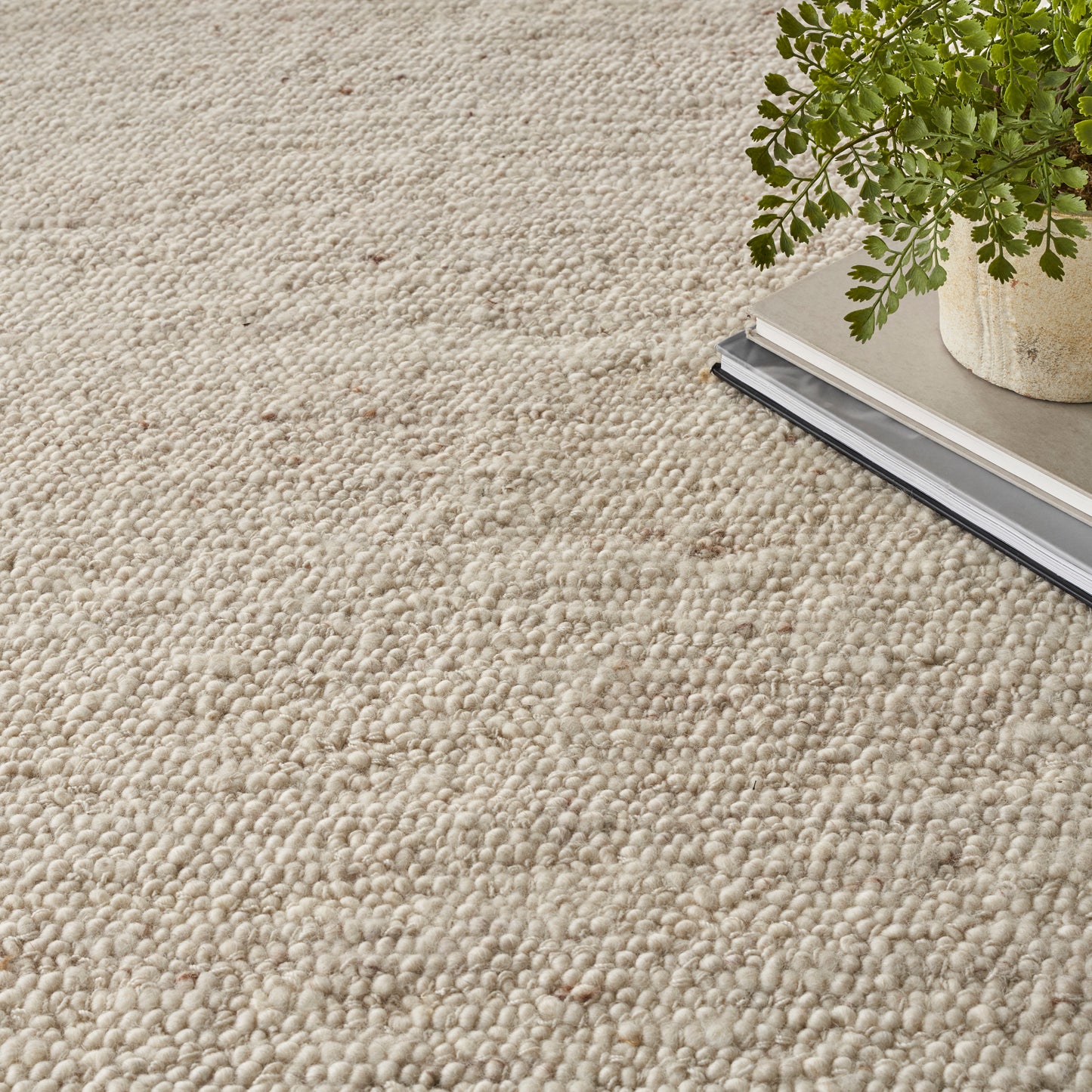 Beige looped rug texture with a potted green plant resting on a stack of books.