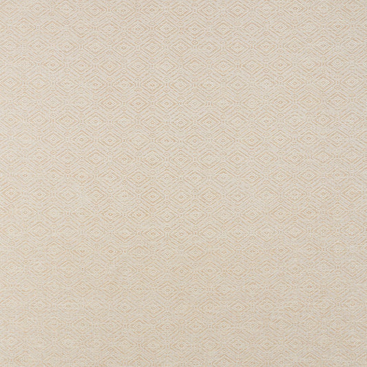 SCHUMACHER  ESSENTIALS: LUXE UPHOLSTERY FABRICS ANDERSON PATTERNED WOVENS PATTERNED WOVENS BAMBOO   - 71131