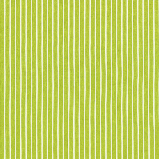 SCHUMACHER  ESSENTIALS: CLASSIC STRIPE EDIE STRIPE PATTERN WOVENS PATTERN WOVENS GREEN   - 71306