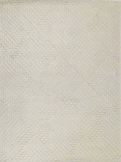 EXQUISITE RUGS   Sandro Indoor Hand Tufted    - 7149-4'X6'
