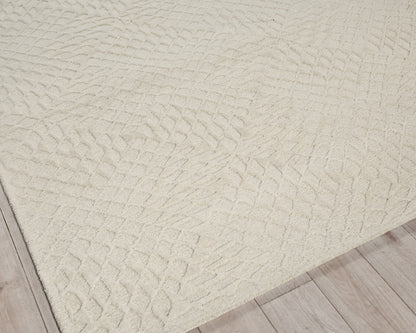 EXQUISITE RUGS   Sandro Indoor Hand Tufted    - 7149-2'X3'