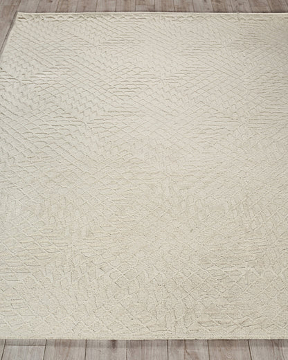 EXQUISITE RUGS   Sandro Indoor Hand Tufted    - 7149-2'X3'