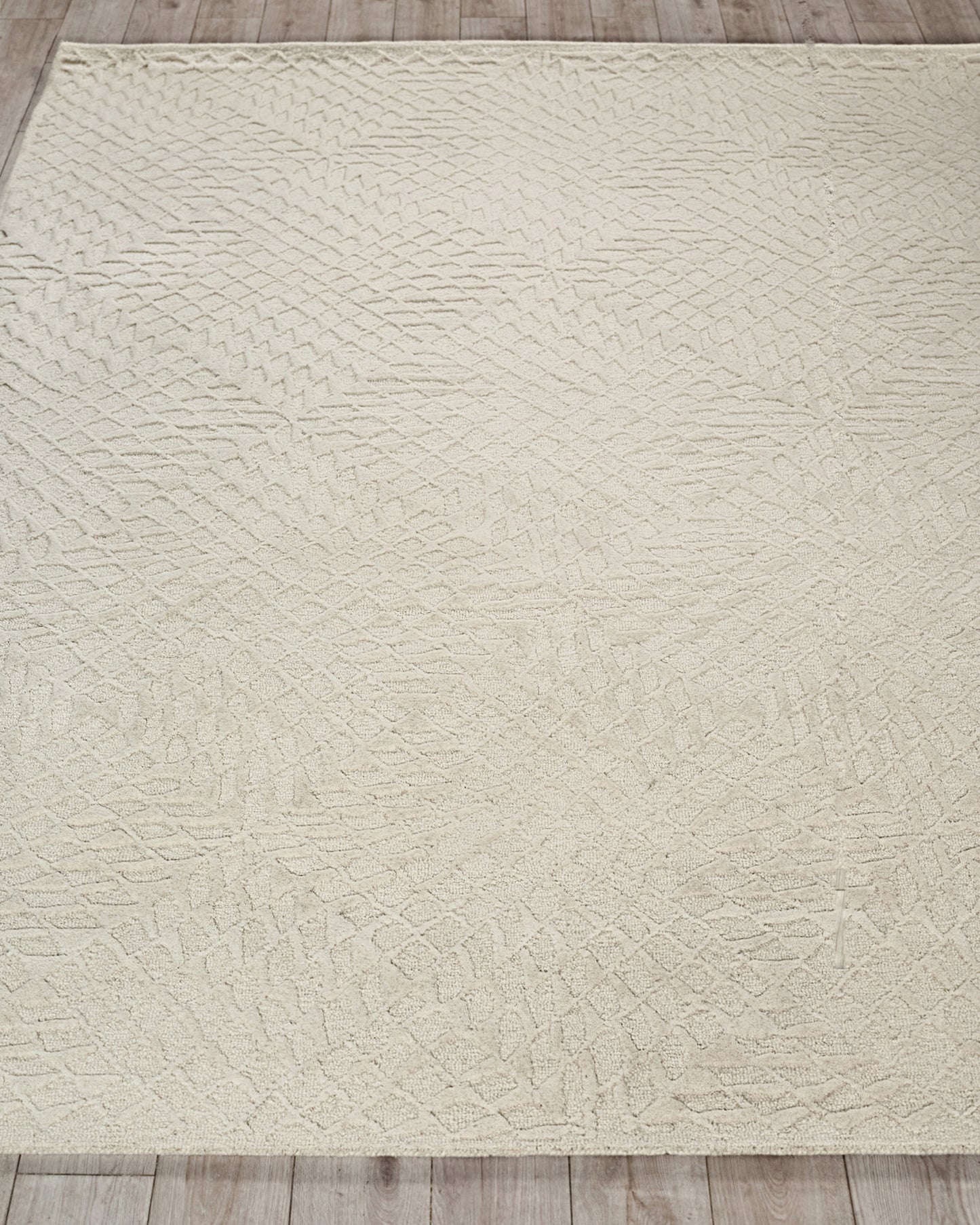 EXQUISITE RUGS   Sandro Indoor Hand Tufted    - 7149-4'X6'