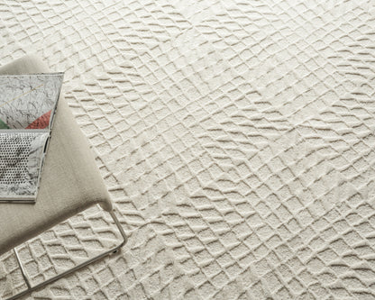 EXQUISITE RUGS   Sandro Indoor Hand Tufted    - 7149-2'X3'